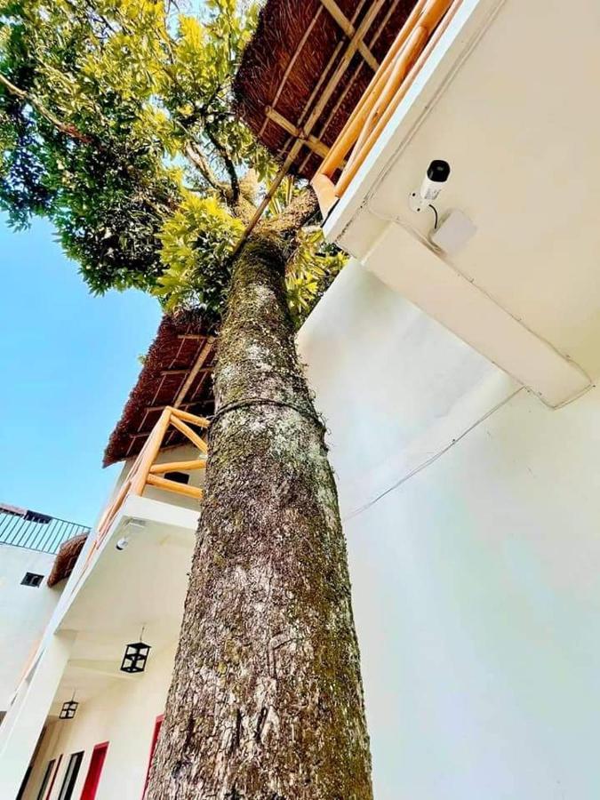 Hotel Sierra Linda Xilitla Kültér fotó